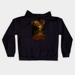 An Autumn Countryside Walk Kids Hoodie